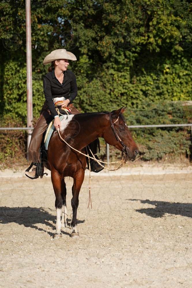 s_A_908500.JPG